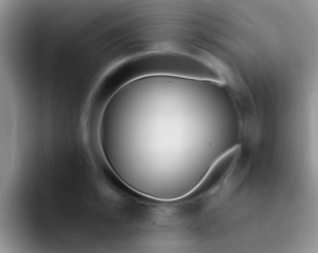 X0000092080854200709262103