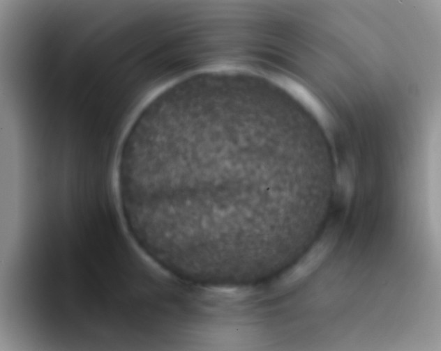 X0000092080855200709262103