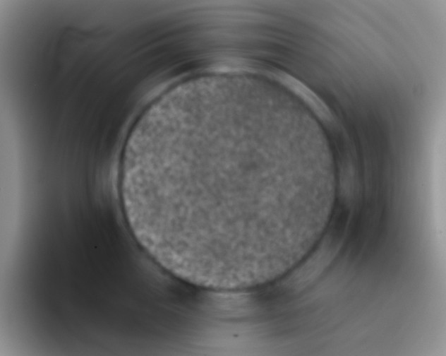 X0000092080856200709262103