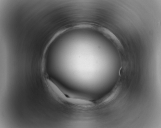 X0000092080860200709262103