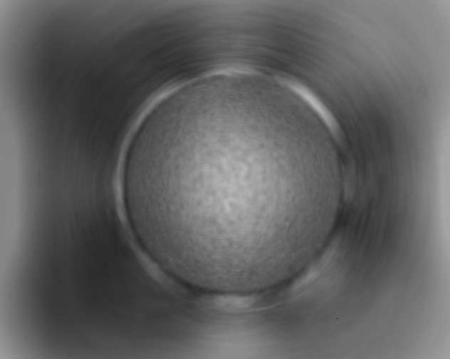 X0000092080861200709262103