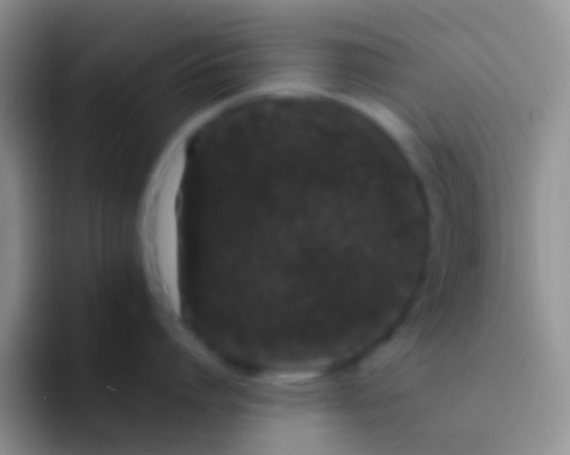 X0000092080864200709262103