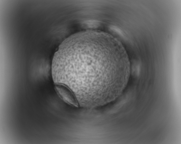 X0000092080866200709262102