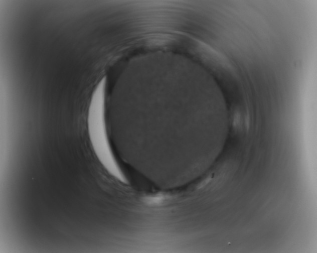 X0000092080868200709262102