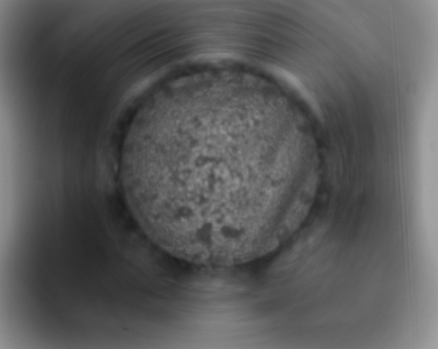 X0000092080871200709262102