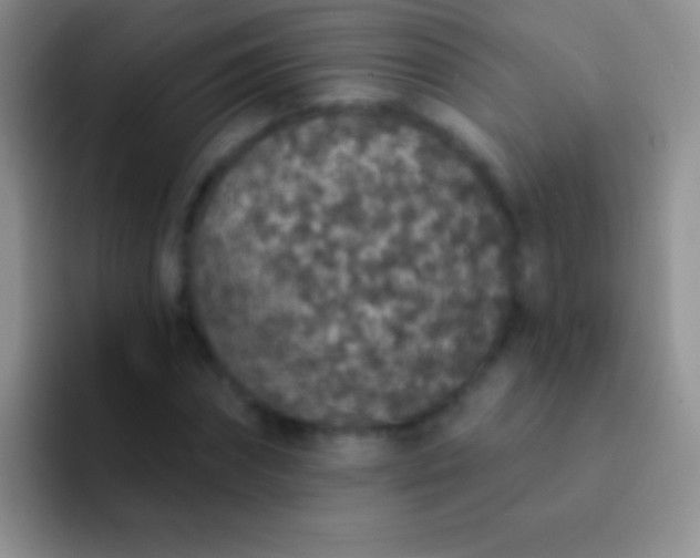 X0000092080874200709262102