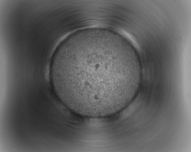 X0000092080875200709262102