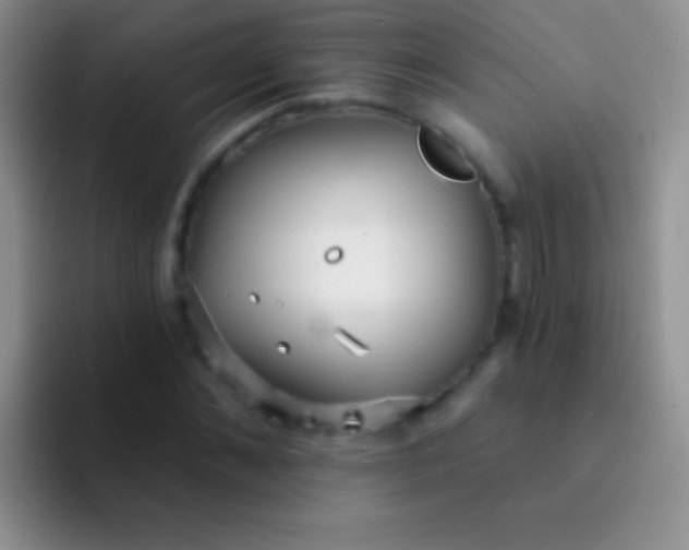X0000092080876200709262102