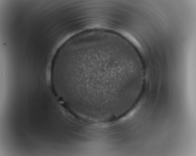 X0000092080877200709262102