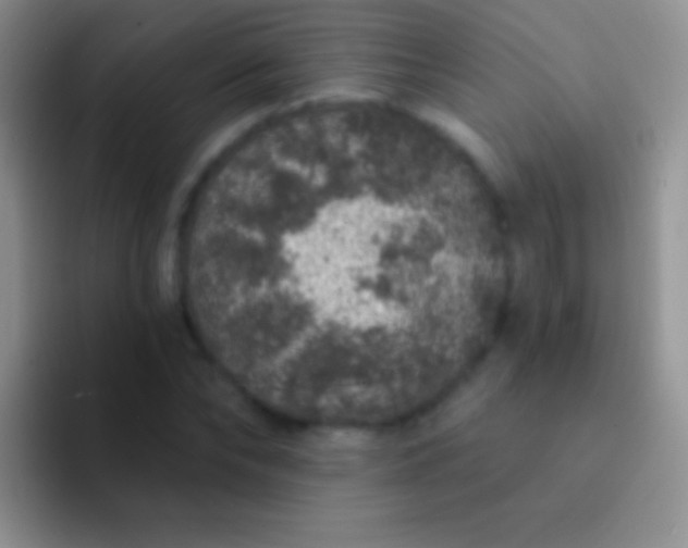 X0000092080878200709262102