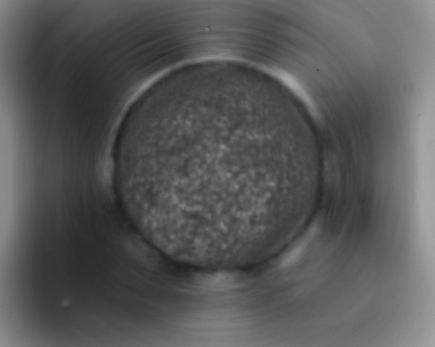 X0000092080879200709262102