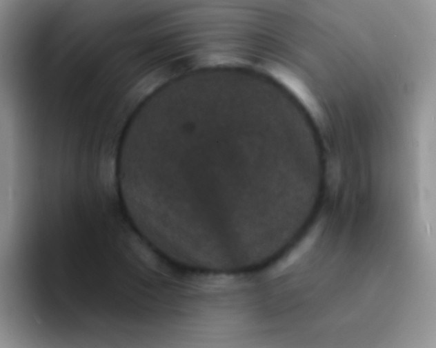 X0000092080881200709262102