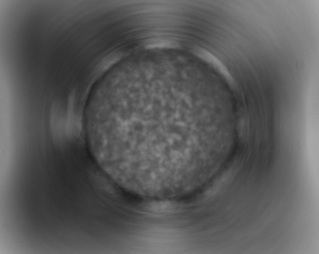 X0000092080882200709262102
