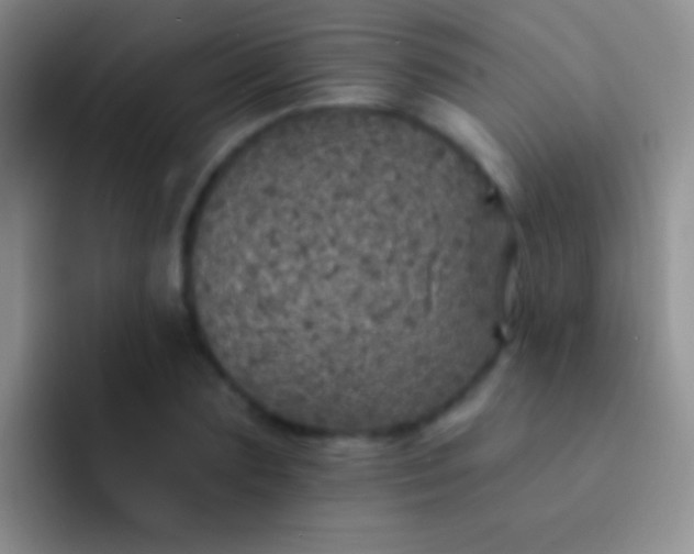 X0000092080883200709262102