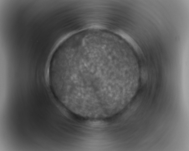 X0000092080886200709262102