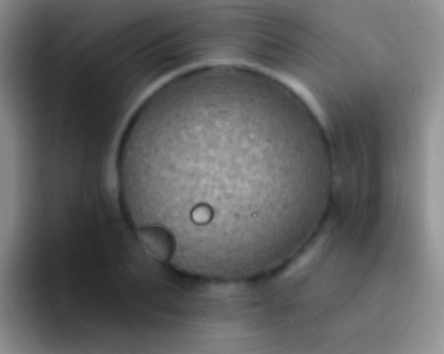 X0000092080887200709262102