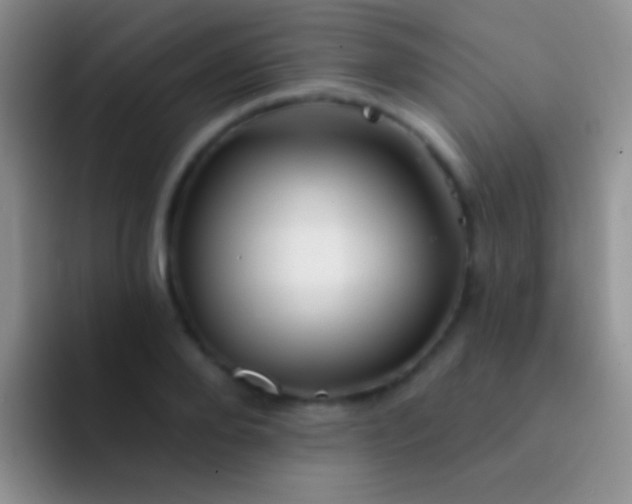 X0000092080888200709262102