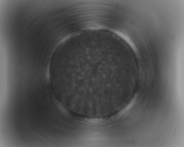 X0000092080889200709262102