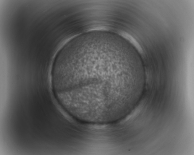 X0000092080890200709262102