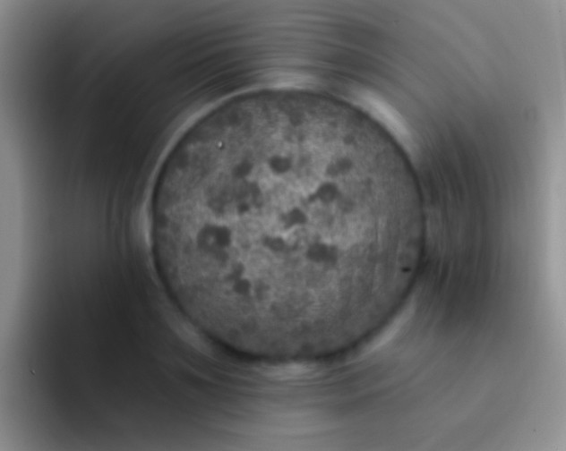 X0000092080891200709262102