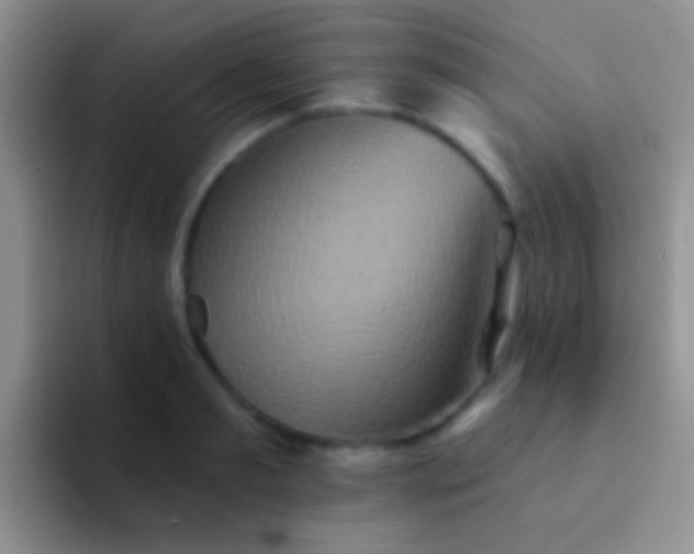 X0000092080893200709262102