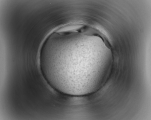 X0000092080894200709262102