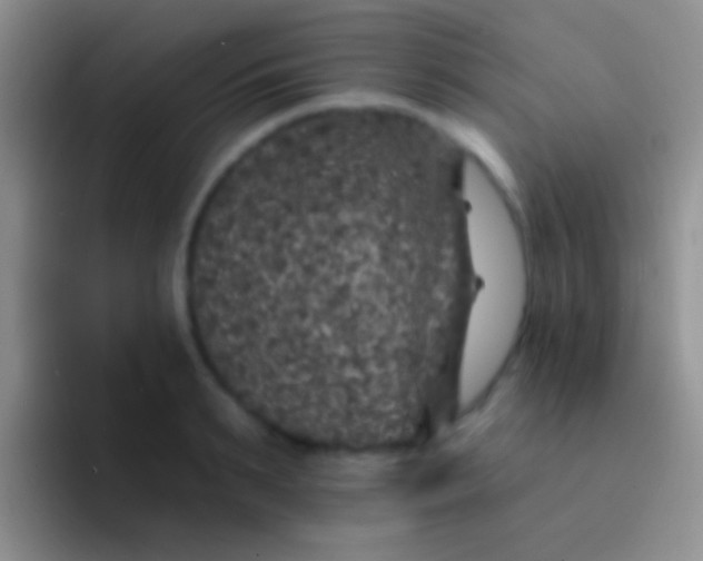 X0000092080895200709262102
