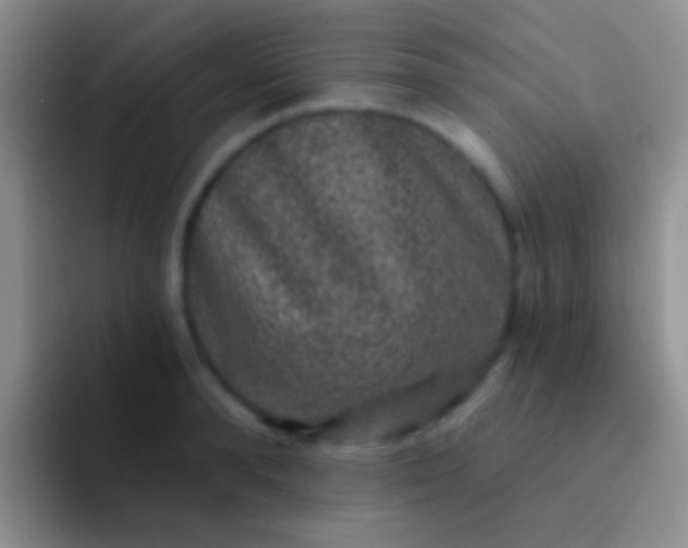 X0000092080896200709262102