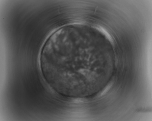 X0000092080899200709262102
