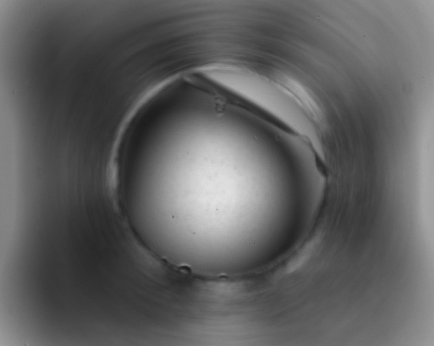 X0000092080900200709262102