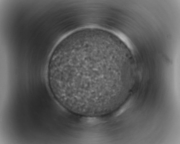 X0000092080903200709262102