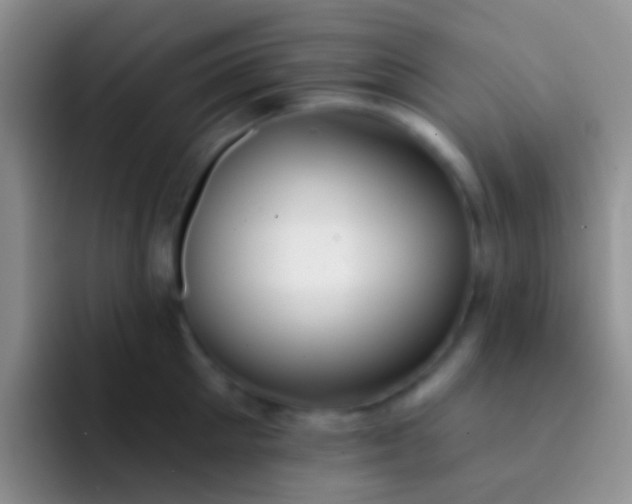 X0000092080905200709262102