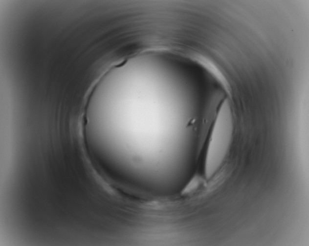 X0000092080906200709262102