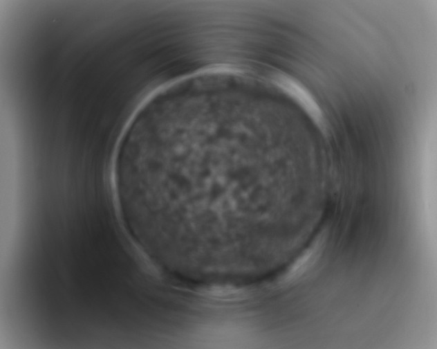 X0000092080907200709262102