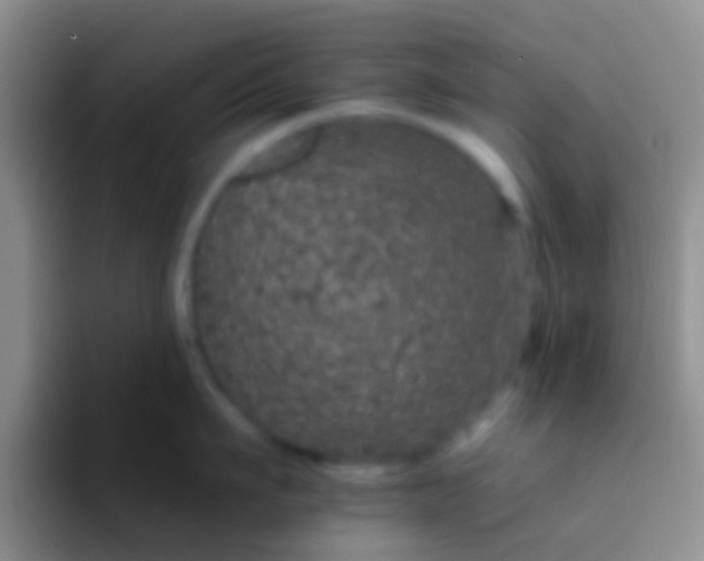 X0000092080911200709262102