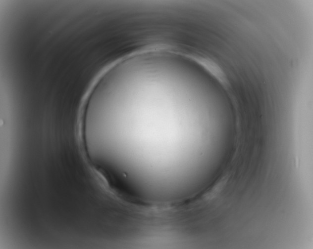 X0000092080912200709262102