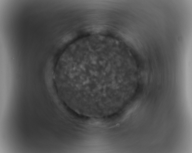X0000092080913200709262101