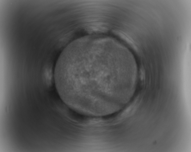 X0000092080915200709262101