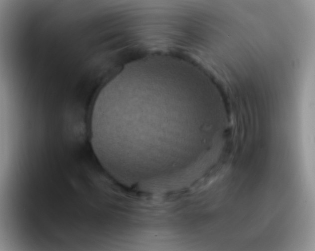 X0000092080916200709262101