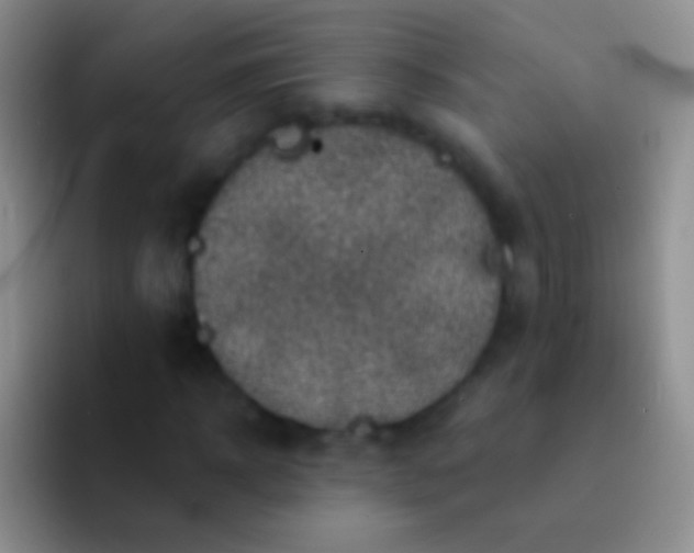 X0000092080918200709262101