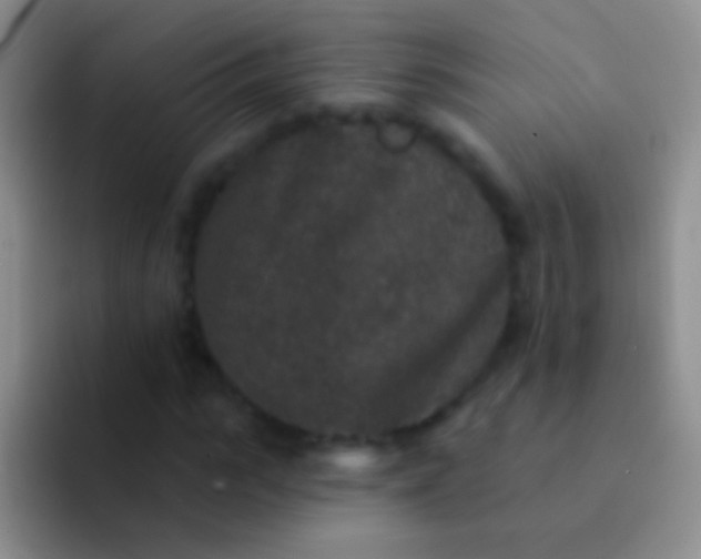 X0000092080919200709262101