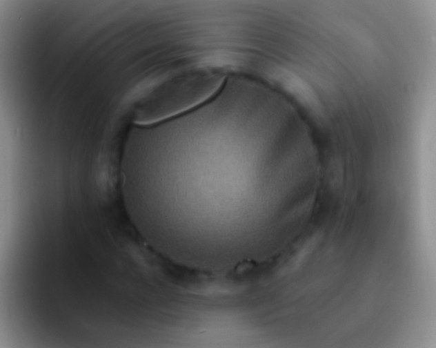 X0000092080920200709262101