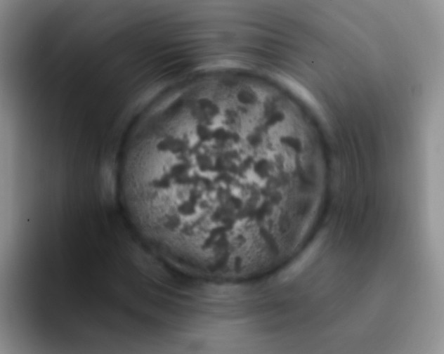 X0000092080921200709262101