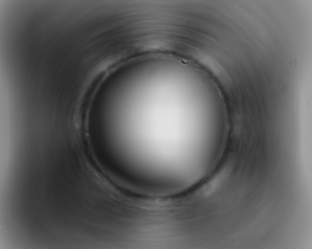 X0000092080922200709262101