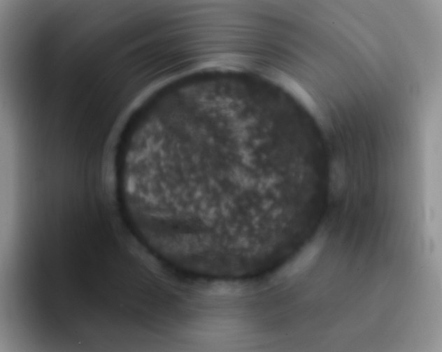 X0000092080923200709262101