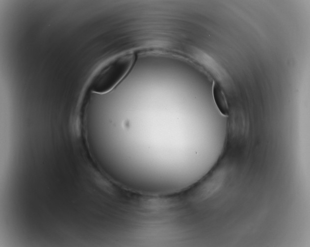 X0000092080924200709262101