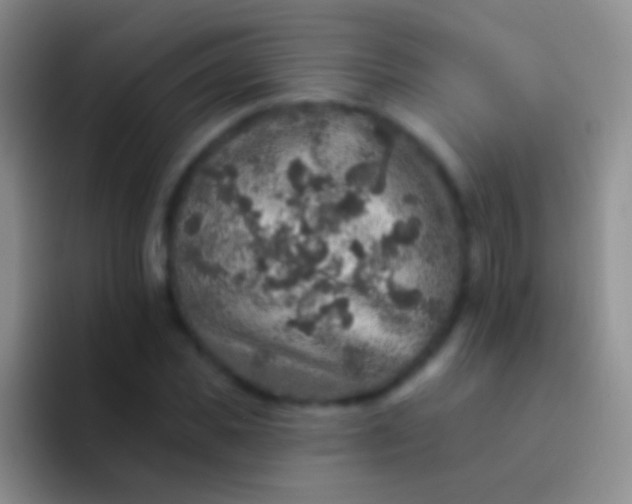 X0000092080925200709262101
