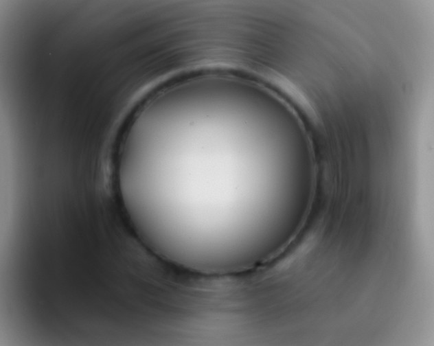X0000092080926200709262101