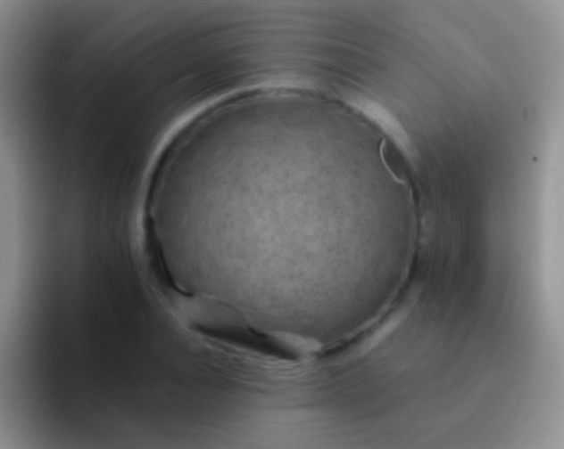 X0000092080928200709262101