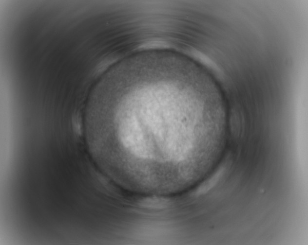 X0000092080929200709262101